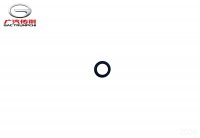 Уплотнительное кольцо 6,9*1,8 GAC