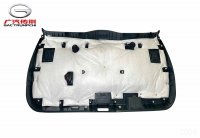 Нижняя декоративная накладка двери багажного отделения W (Wizard Green) GAC GS3